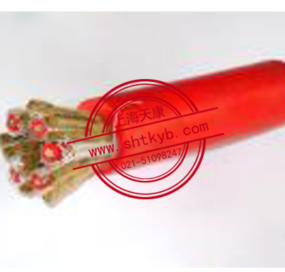 ZR-DJFPVPR、ZR-DJFP2VP2 ZR-DJFPFP耐高溫計算機電纜