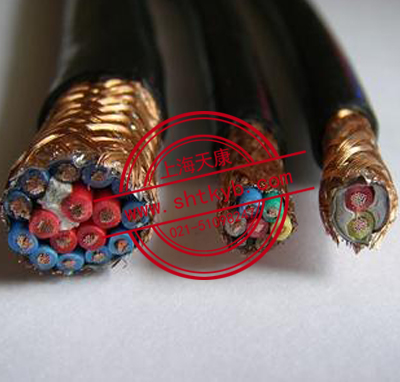 DJFPFP耐高溫防腐計算機電纜