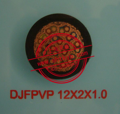 DJFPVP 12*2*1.0 計算機屏蔽耐高溫電纜