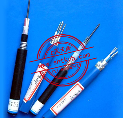 本質(zhì)安全系統(tǒng)用檢測儀器特種電纜