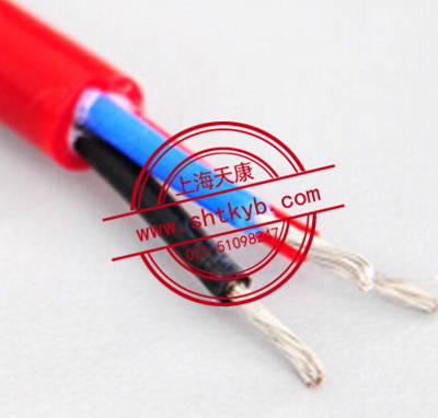 YGGR、YGGRP、YGGP硅橡膠電纜