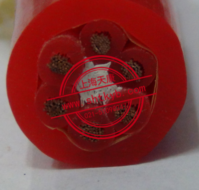 耐熱硅橡膠絕緣和護套（阻燃）電纜