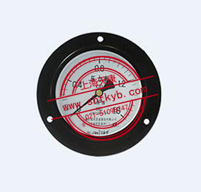 Y-100ZT普通壓力表