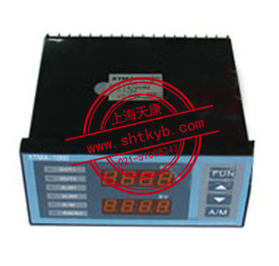 XMZA-135數字顯示儀