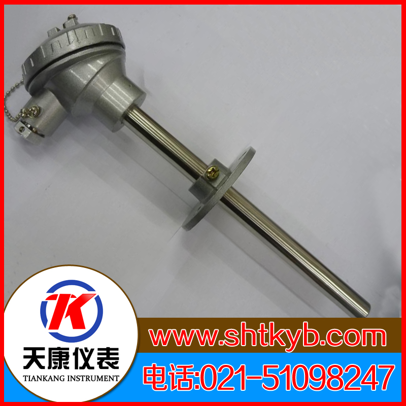 活動(dòng)法蘭式熱電偶WRF2-331