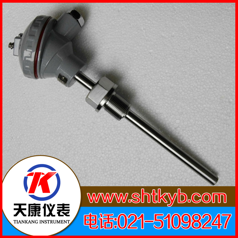 裝配式熱電偶WRF-231G