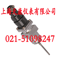 鎧裝熱電阻WZPK2-264