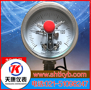 電接點雙金屬溫度計WSSX-406