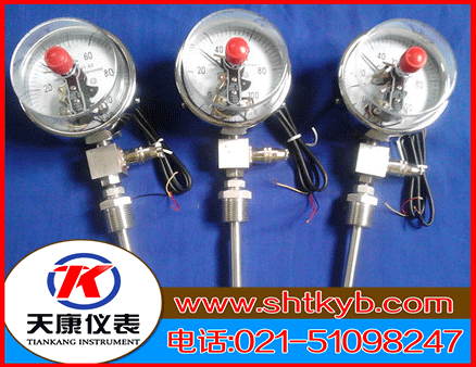 電接點雙金屬溫度計WSSX-416