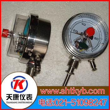 電接點雙金屬溫度計WSSX-485