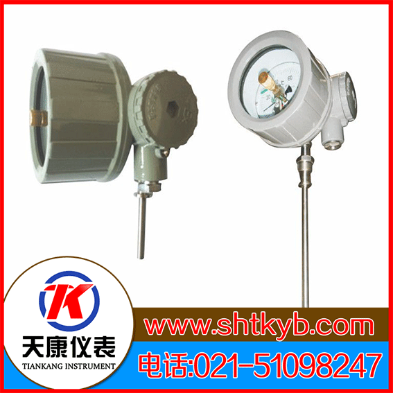 防爆電接點雙金屬溫度計WSSX-416B