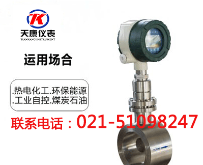 對夾式靶式流量計