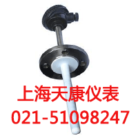 裝配式熱電阻WZC-431