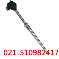 裝配式熱電阻WZC-630